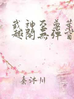 武神至尊叶风笔趣阁无弹窗