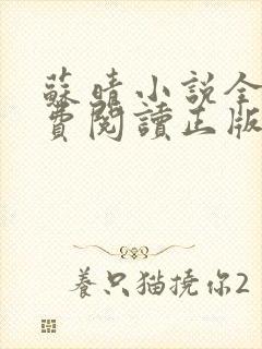 苏晴小说全文免费阅读正版无弹窗