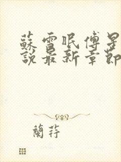 苏雪眠傅星澜小说最新章节免费阅读