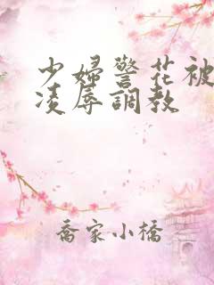 少妇警花被慧姐凌辱调教