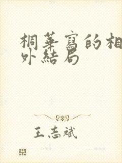 桐华写的相柳番外结局