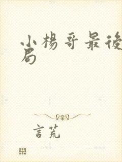 小杨哥最后的结局