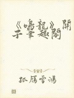 《鸣龙》关关公子笔趣阁