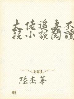 大佬追妻不择手段小说阅读全文