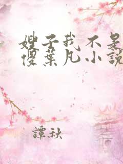 嫂子我不是真的傻叶凡小说免费阅读