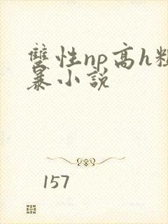 双性np高h粗暴小说