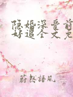 隐婚深爱前妻不好追全文免费阅读