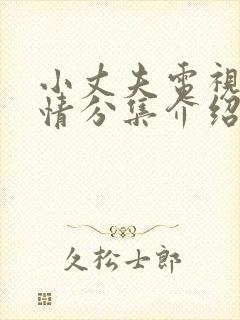 小丈夫电视剧剧情分集介绍