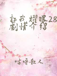 许我耀眼28集剧情介绍