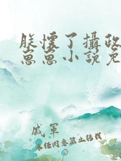 朕怀了摄政王的崽崽小说免费阅读