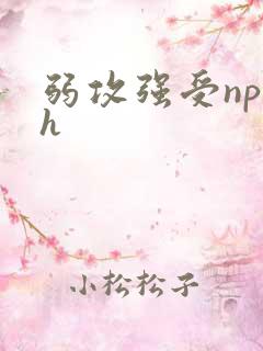 弱攻强受np高h