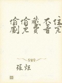 偷偷藏不住电视剧免费看完整版