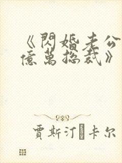 《闪婚老公竟是亿万总裁》小说