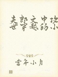 夫郎文中攻是末世穿越的小说