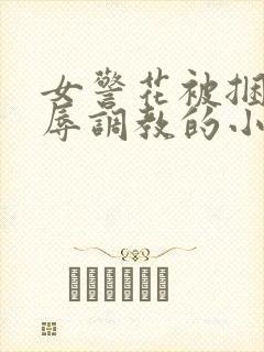 女警花被捆绑屈辱调教的小说