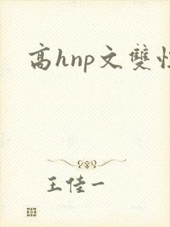 高hnp文双性