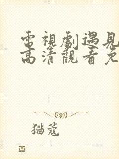 电视剧遇见幸福高清观看免费