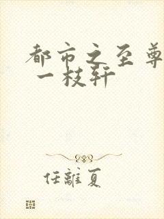 都市之至尊战神 一枝轩