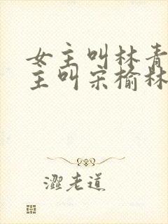 女主叫林青青男主叫宋榆林重生小说