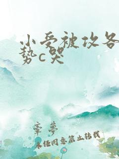 小受被攻各种姿势c哭