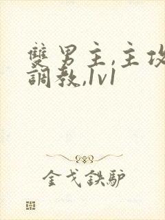 双男主,主攻,调教,1v1