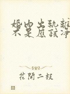 婚内出轨离婚是不是应该净身出户