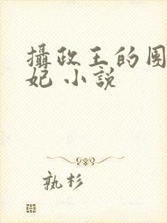 摄政王的团宠医妃 小说