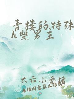 青楼的特殊调教h双男主