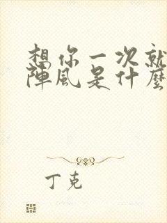 想你一次就起一阵风是什么歌