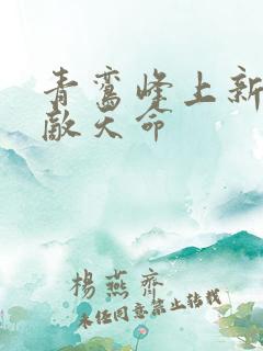 青鸾峰上新书无敌天命
