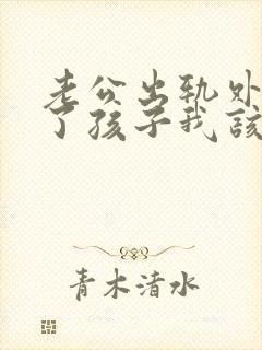 老公出轨外面有了孩子我该怎么处理