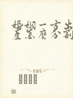 婚姻一方出轨财产怎么分割