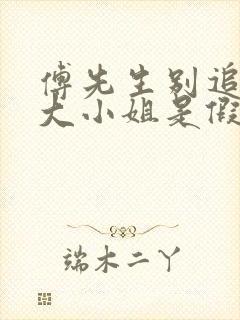 傅先生别追了,大小姐是假的短剧