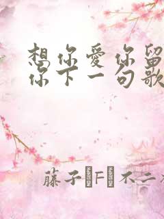 想你爱你留不住你下一句歌词是什么