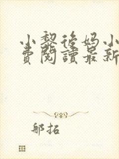 小黎后妈小说免费阅读最新章节更新