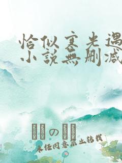 恰似寒光遇骄阳小说无删减在线阅读