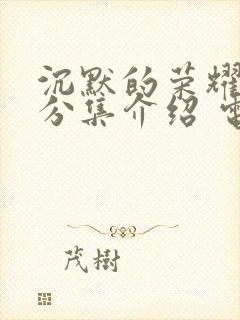 沉默的荣耀剧情分集介绍 电视猫