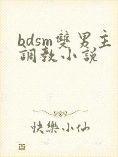 bdsm双男主调教小说