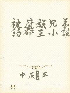 被魔族兄弟囚禁的郡主小说免费阅读全文