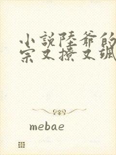 小说陆爷的小祖宗又撩又飒免费