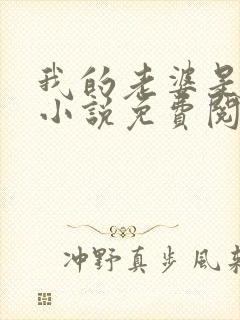 我的老婆是总裁小说免费阅读