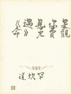 《遇见你是我宿命》免费观看全集