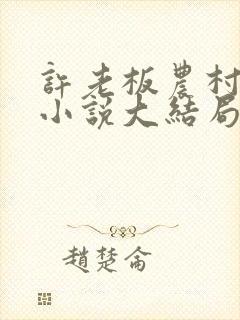 许老板农村小玫小说大结局