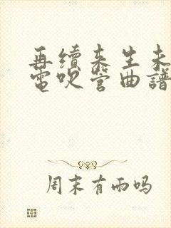 再续来生未了情电吹管曲谱