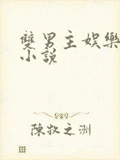 双男主娱乐圈的小说