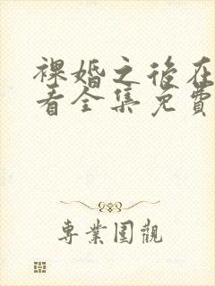 裸婚之后在线观看全集免费