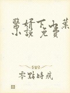 医婿下山叶不凡小说 免费