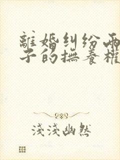 离婚纠纷两个孩子的抚养权如何确定判决