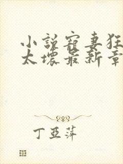 小说宠妻狂魔别太坏最新章节