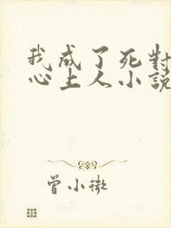 我成了死对头的心上人小说txt